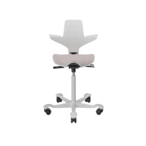 ergonomischer-sattelstuhl-homeoffice-buerostuhl-arbeitstisch-hoehenverstellbar-neudoerfler_700x