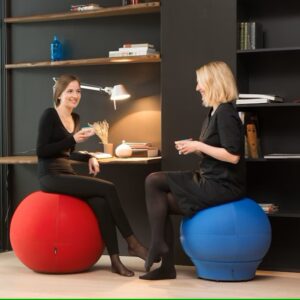 Kiegészítők_Ergonómiai kiegészítők_Buddy Ball_03